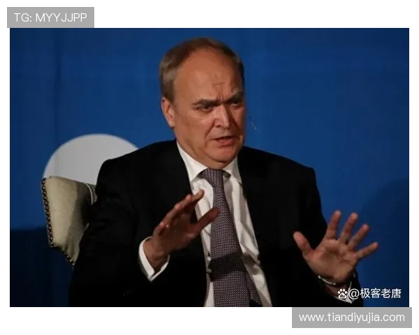 赖斯的外交智慧与全球影响力分析及其对国际关系的深远影响